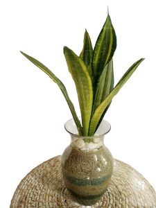 Arranjo decorativo Arranjo decorativo